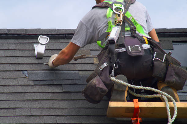 Best Roof Gutter Cleaning  in Palmer, TX