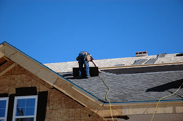 Best Storm Damage Roof Repair  in Palmer, TX