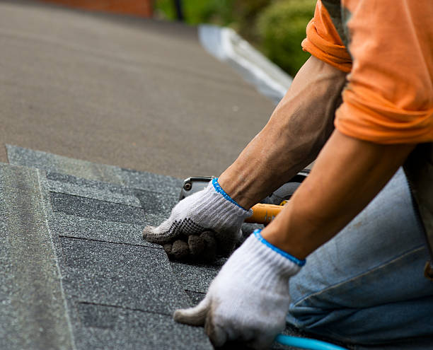 Professional Roofing Contractor in Palmer, TX